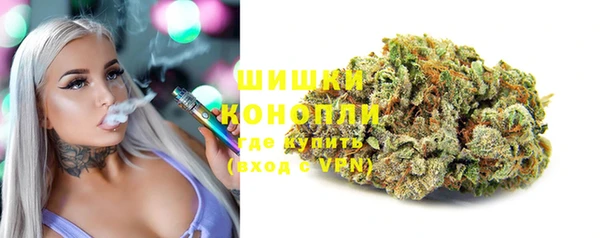 ПСИЛОЦИБИНОВЫЕ ГРИБЫ Ладушкин
