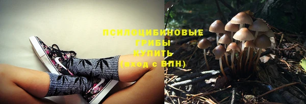 ПСИЛОЦИБИНОВЫЕ ГРИБЫ Ладушкин