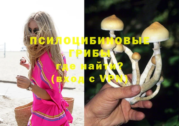 первитин Лагань