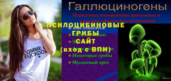 первитин Лагань