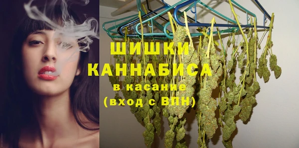 ПСИЛОЦИБИНОВЫЕ ГРИБЫ Ладушкин