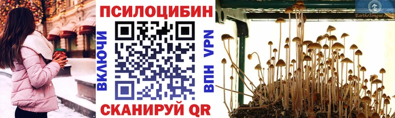 Галлюциногенные грибы ЛСД  Добрянка 