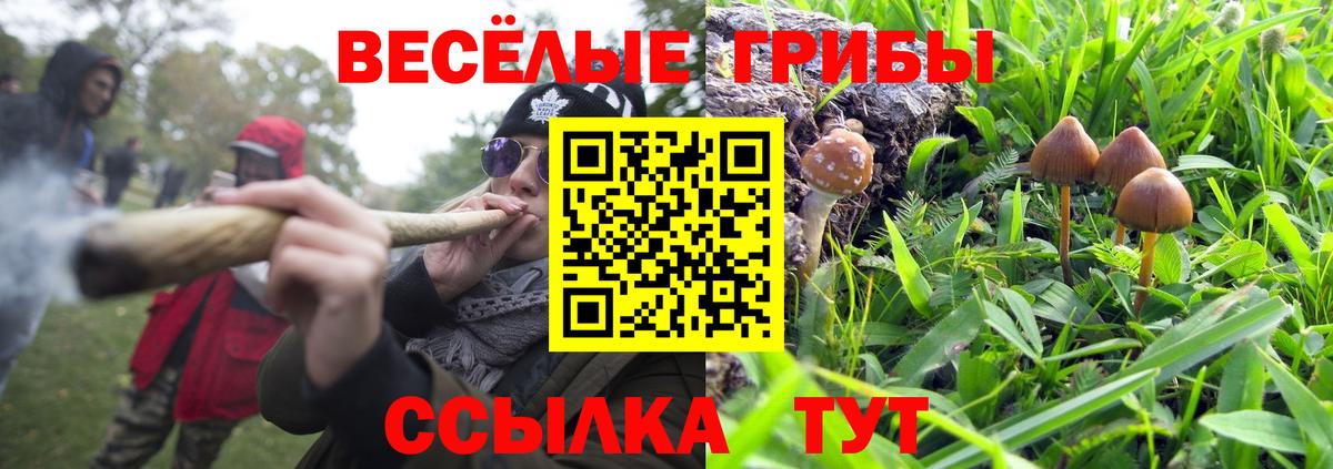 Галлюциногенные грибы ЛСД  Псилоцибиновые грибы ЛСД  Добрянка 